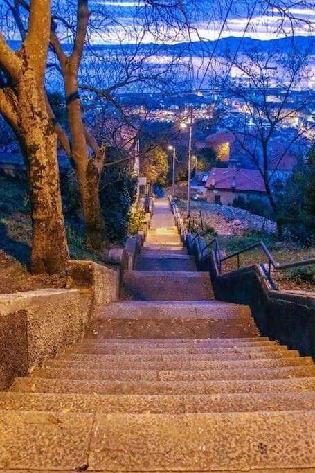 Apartman David-Drazice Dış mekan fotoğraf